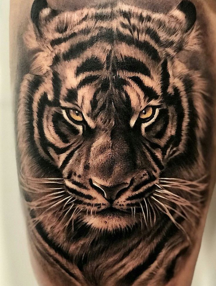 Tatouage tigre sur bras