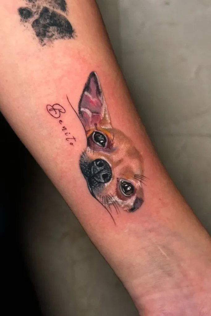 Tatouage de chien coloré réaliste sur le bras