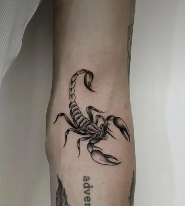 Tatouage scorpion dans l'intérieur du coude