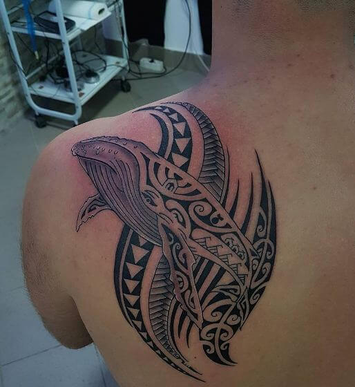 https://wikitattoo.fr/wp-content/uploads/whale-maori-tattoos.jpg